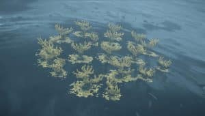 Image d'illustration pour l'article : À quoi servent les cristaux chiraux et comment en obtenir un maximum – Death Stranding 2: On the Beach