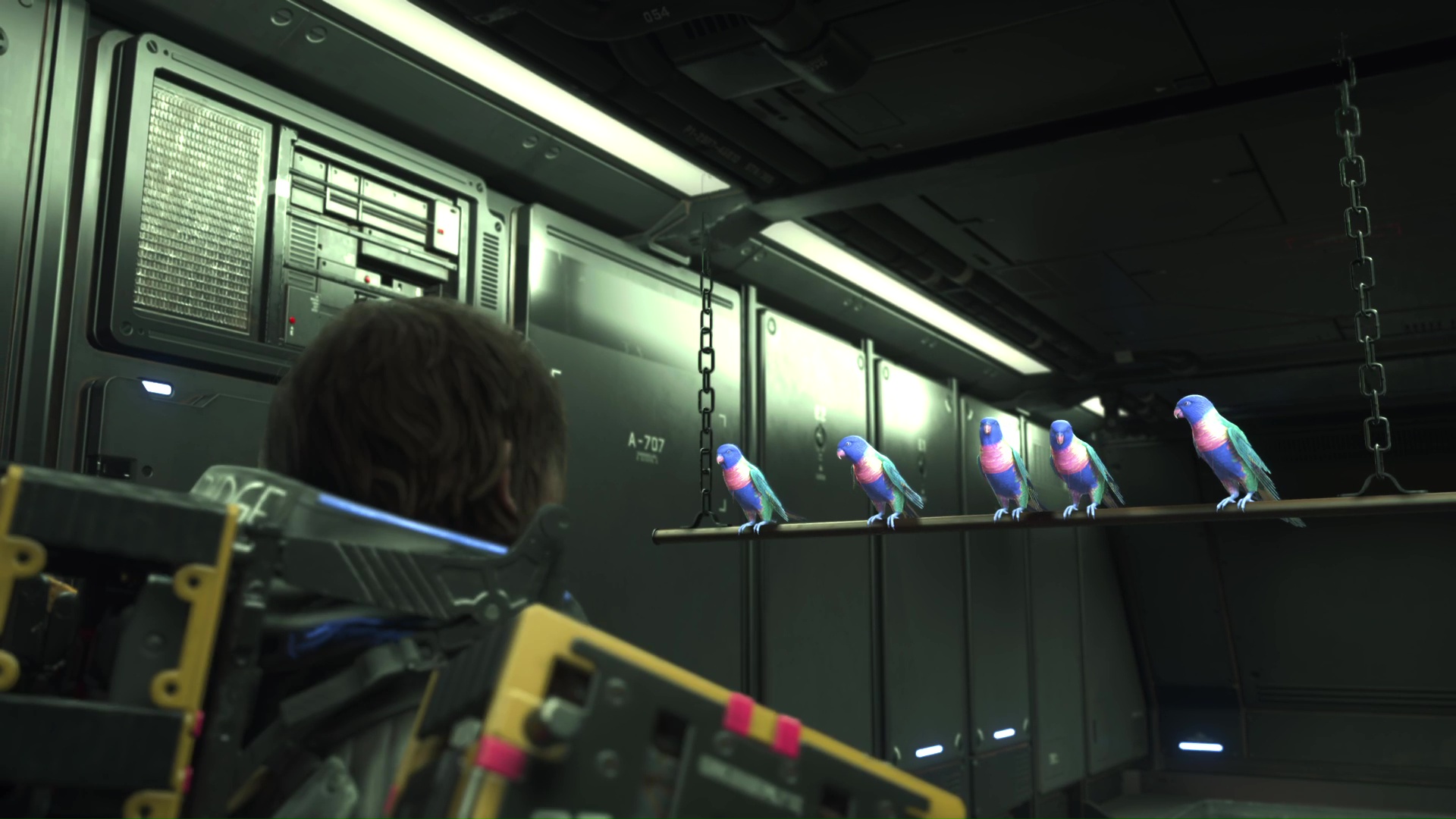 Death stranding 2 on the beach prepper australie 31 28 Death stranding 2 on the beach prepper australie 31 28