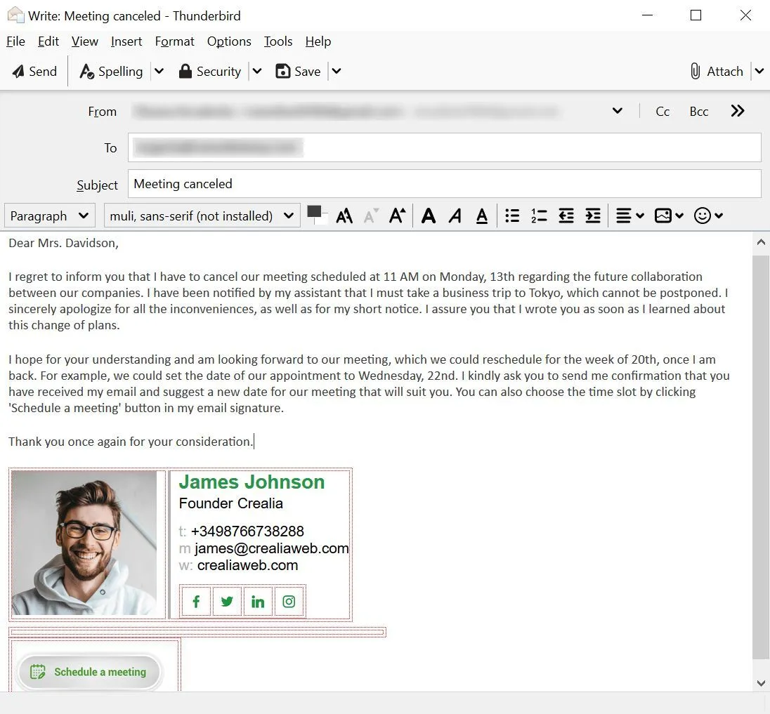 meeting cancellation email example