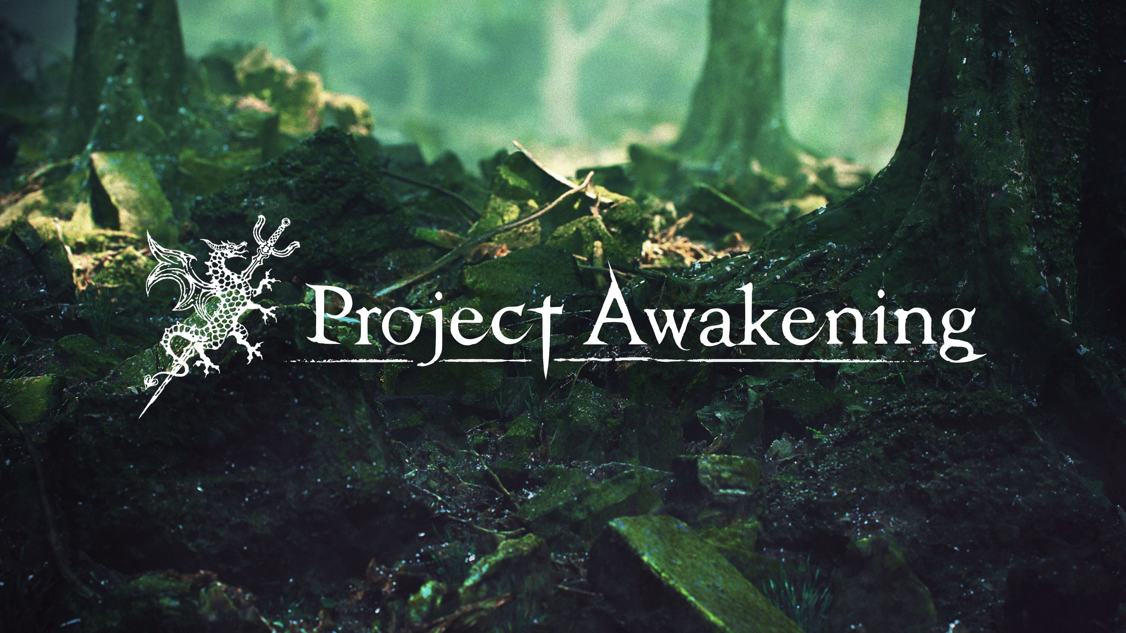 Projectawakening 55 Projet awakening cygames
